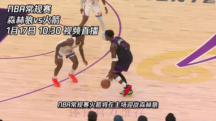 常规赛1月17日：森林狼VS火箭 集锦